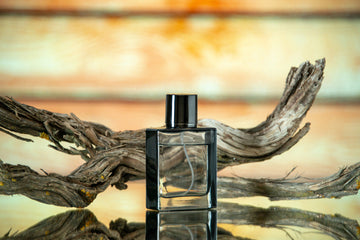 15 Best Afnan Perfumes 2025