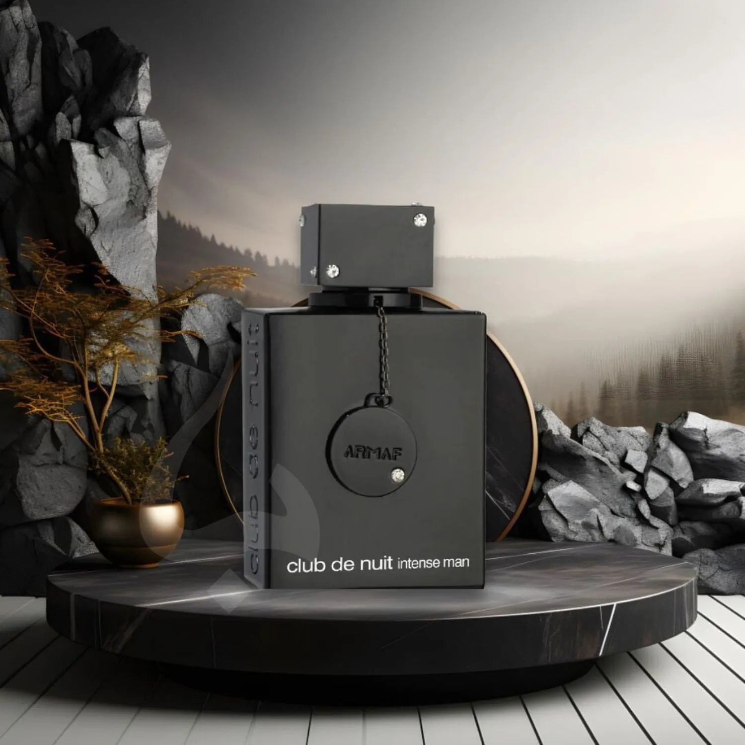 Shop Armaf Club De Nuit Intense Perfume